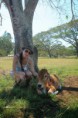 /album/galeria/a3388-4552700529985-83427050-n-jpg/